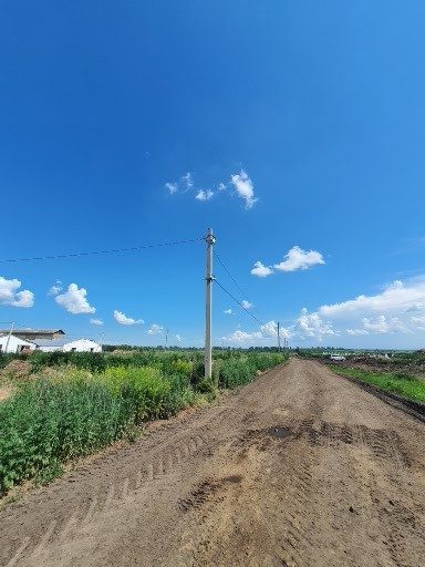 Силосные ямы, фото 4